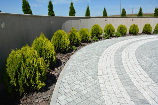 Best Professional Driveway Pavers  in Kings Mountain, NC